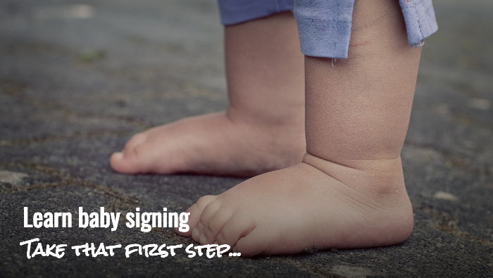 Baby Babble-Learn Baby Signing - Taking your first steps